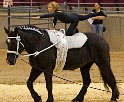 OC Equestrian Vaulting | 905 Arlington Dr, Costa Mesa, CA 92626, USA | Phone: (949) 355-7023