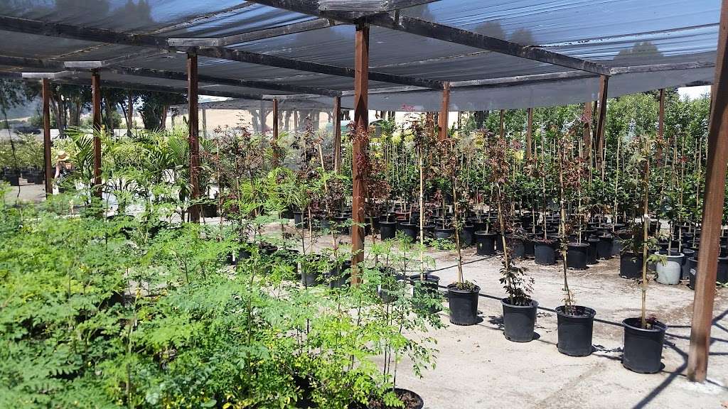 Calaveras Nursery, Inc. | 1000 Calaveras Rd, Sunol, CA 94586, USA | Phone: (925) 862-2286