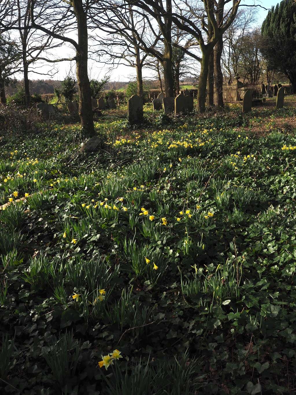 Old St Peters Cemetery | Ayot St Peter, Welwyn AL6 9BQ, UK