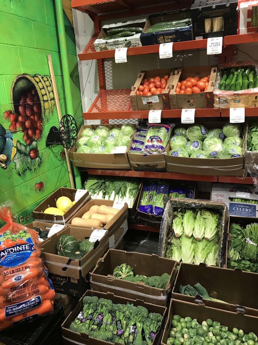 T. M. Kovacevich Wholesale Fruit and Produce | 6700 Essington Ave, Philadelphia, PA 19153, USA | Phone: (215) 336-3160