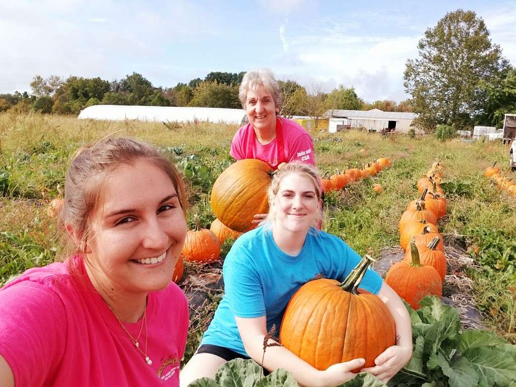 Jones Family Farm & Christmas Tree Nursery | 3501, 3521 Prospect Rd, Street, MD 21154, USA | Phone: (410) 676-3709