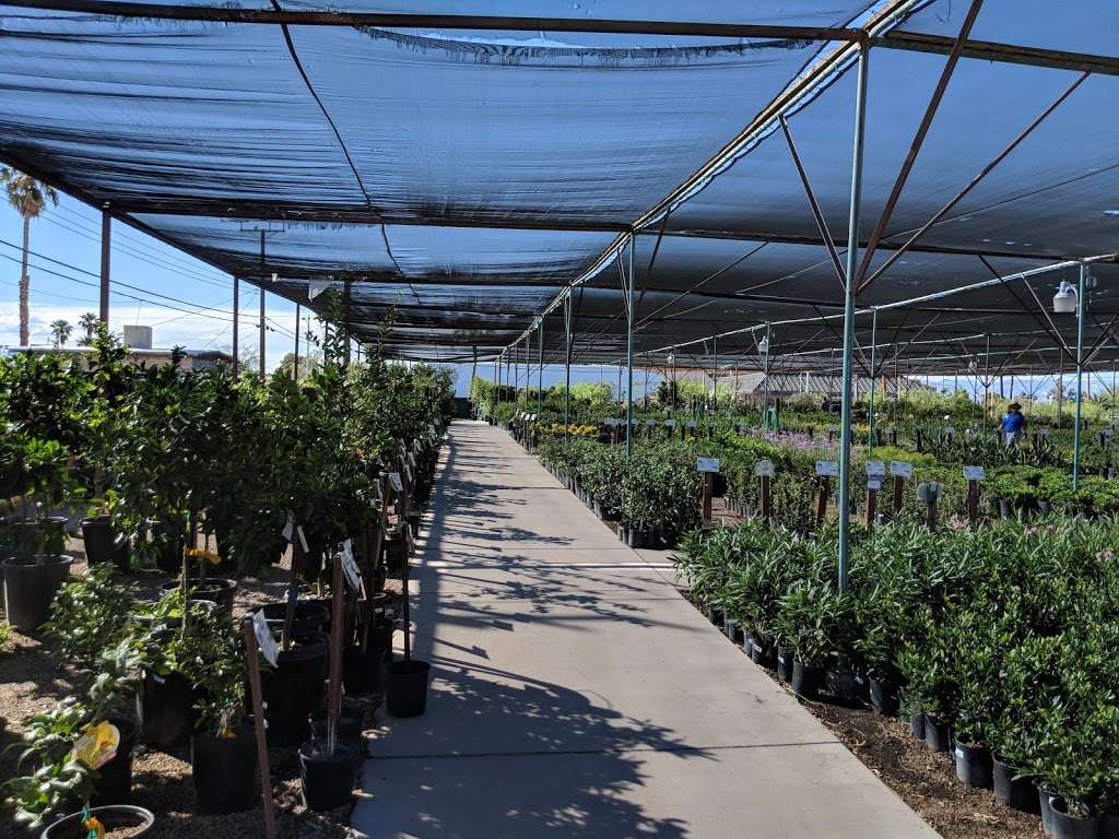 Star Nursery Inc | 6008, 5340 Boulder Hwy, Las Vegas, NV 89122, USA | Phone: (702) 435-7827