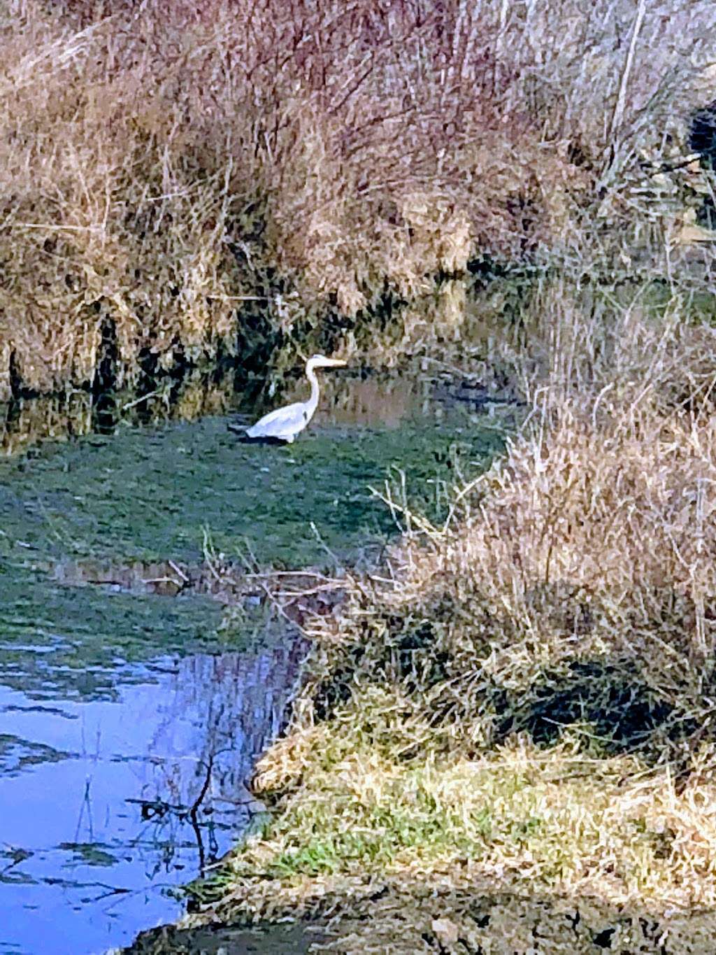 Pat Dawson Billings Nature Area | 3951 W 27th St, Lawrence, KS 66047, USA | Phone: (785) 832-3515