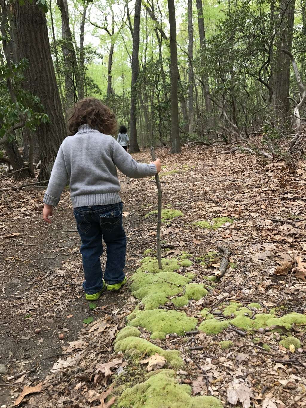 Tiffany Creek Preserve | Oyster Bay, NY 11771, USA