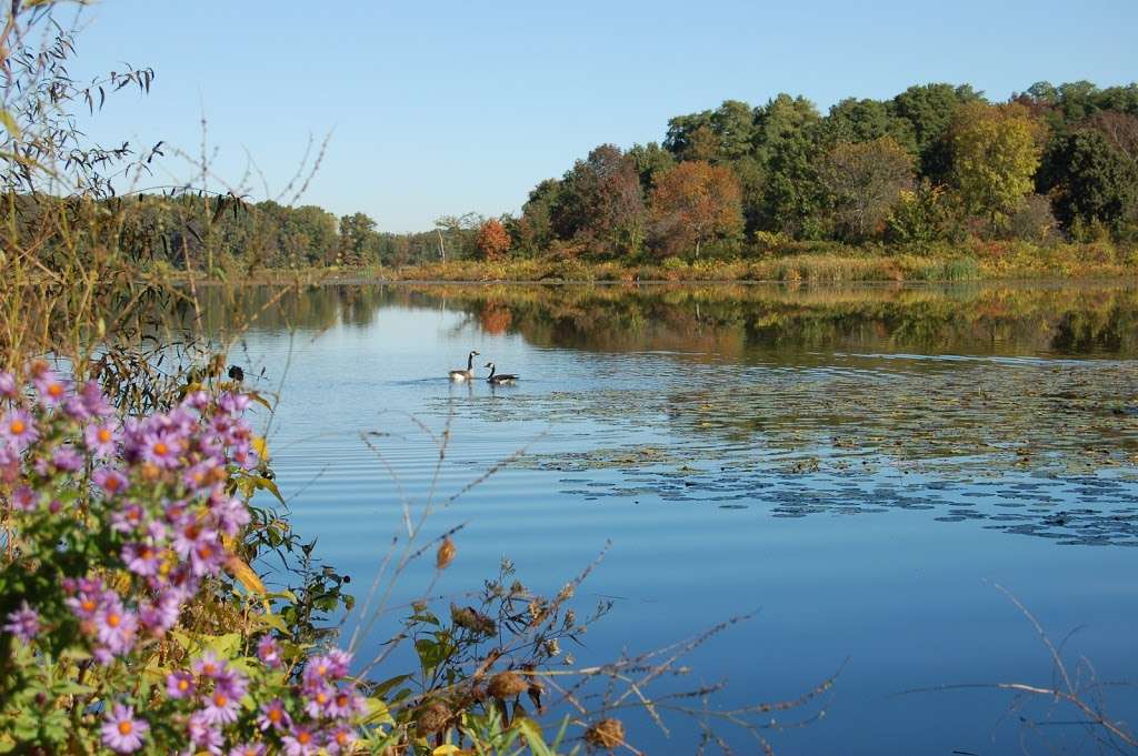 Orland Grove Forest Preserve | Orland Park, IL 60467, USA