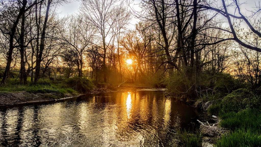 Codorus Trophy Trout | Codorus Creek, Spring Grove, PA 17362, USA