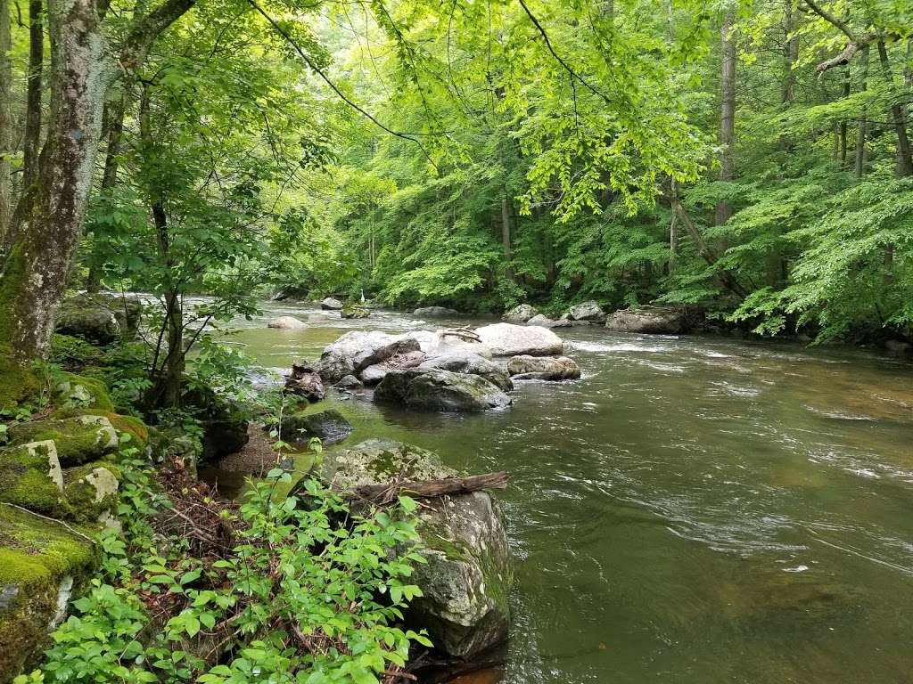 Ken Lockwood Gorge Wildlife Management Area | Raritan River Rd, Califon, NJ 07830, USA | Phone: (973) 383-0918