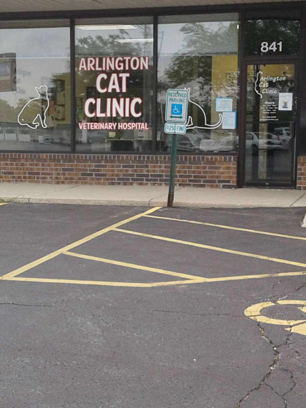 Arlington Cat Clinic | 841 N Wilke Rd, Arlington Heights, IL 60005, USA | Phone: (847) 398-3355