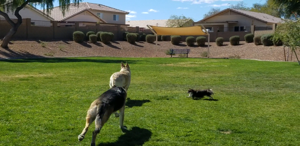 Trailwood Dog Park | 4224-4228 N 112th Ln, Phoenix, AZ 85037, USA