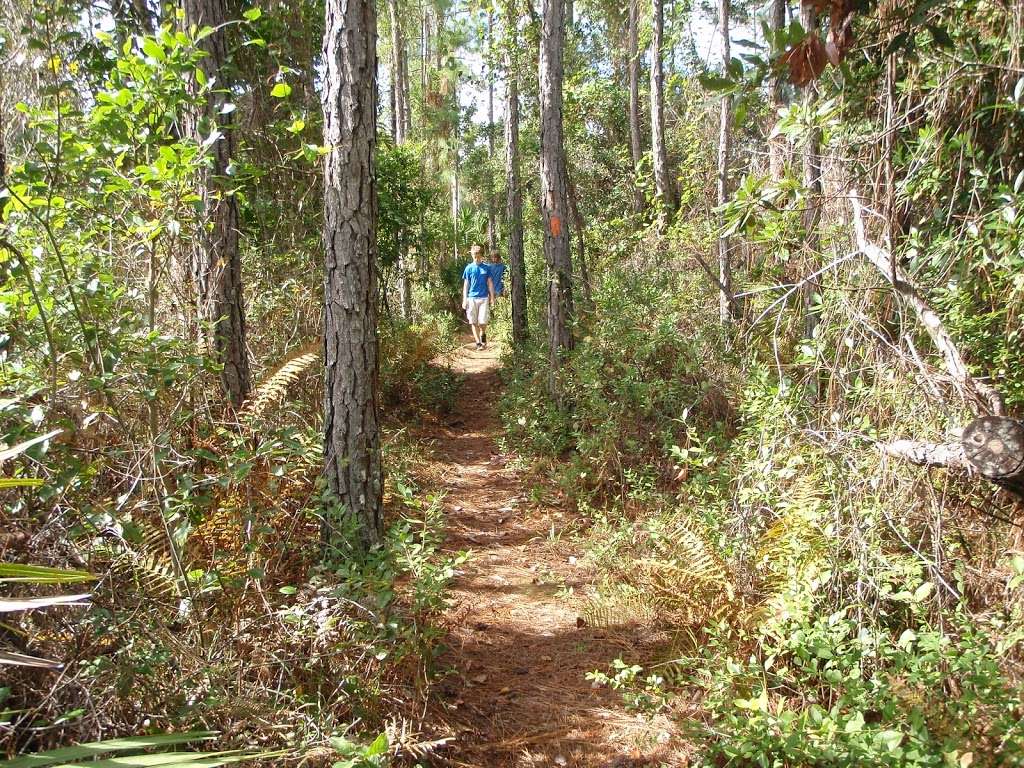 Trailhead for Flagler/Florida Trail | Flagler Trail, Oviedo, FL 32765, USA