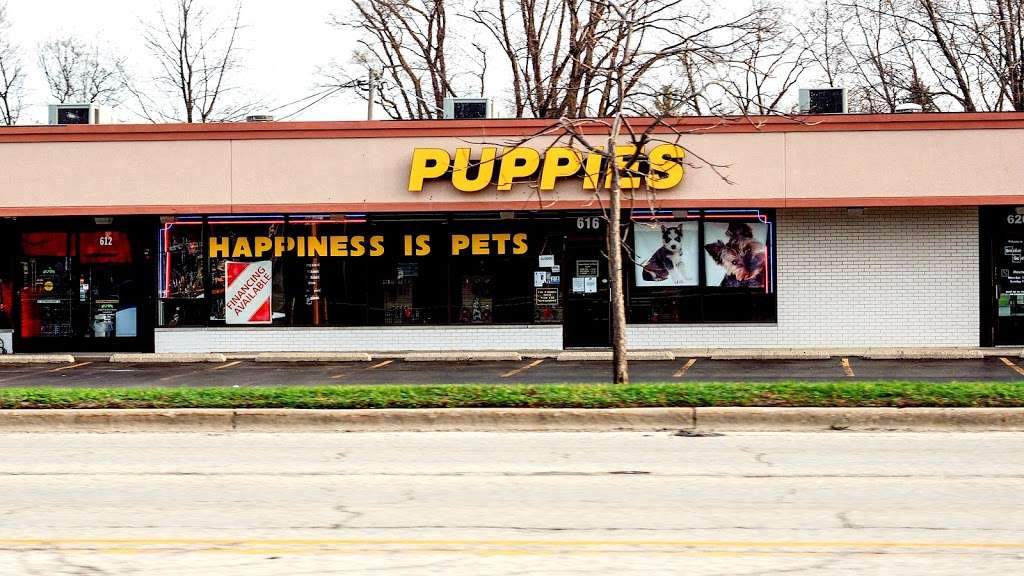 Happiness Is Pets Vi | 616 E Roosevelt Rd, Lombard, IL 60148, USA | Phone: (630) 261-9400