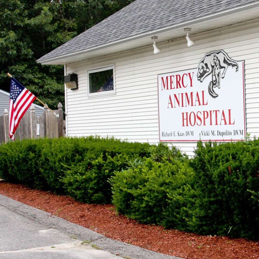 Mercy Animal Hospital | 81 Daniel Webster Hwy, Merrimack, NH 03054, USA | Phone: (603) 882-0087