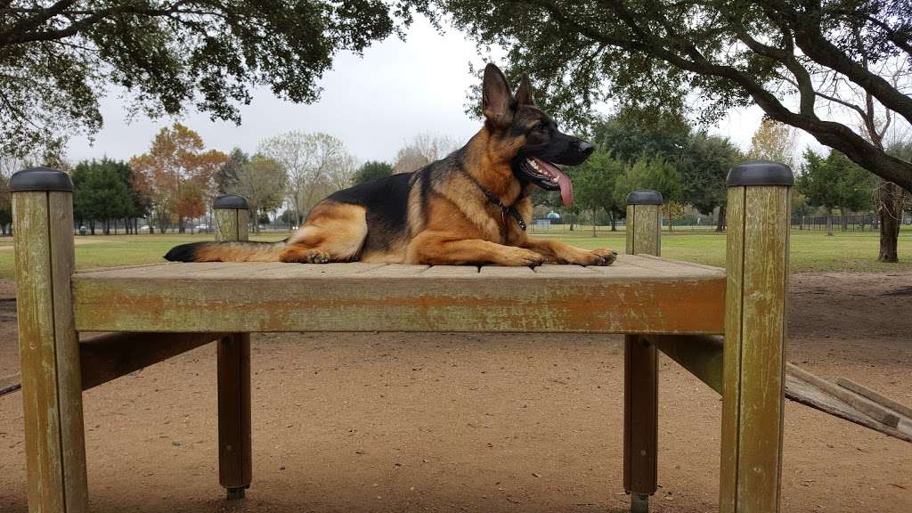 Congressman Bill Archer Dog Park | 3201 Hwy 6, Houston, TX 77084, USA | Phone: (281) 496-2177