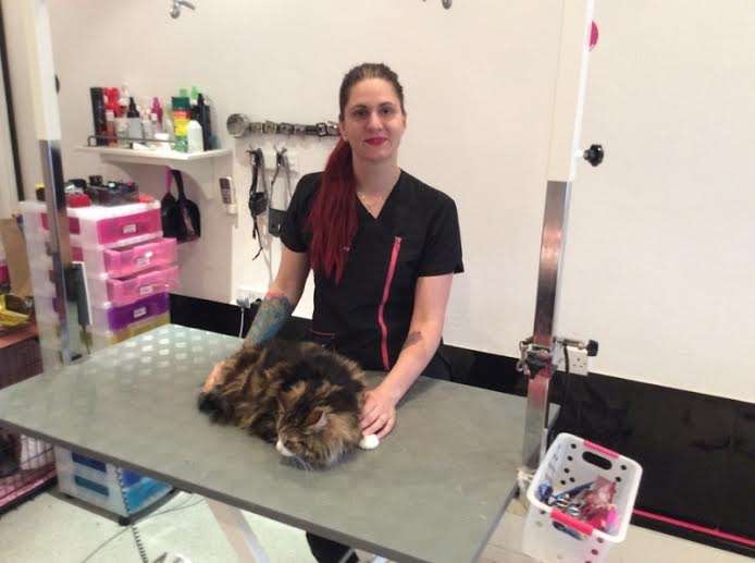 K9 Pet Grooming Centre | Tyndalls Garden Centre, Sedge Green, Nazeing, Waltham Abbey EN9 2PA, UK | Phone: 01992 444445