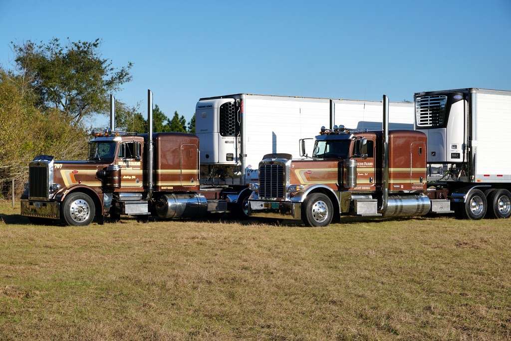 Jenkins Farms Trucking | 2707 County Rd 44, Eustis, FL 32726, USA | Phone: (352) 357-4610