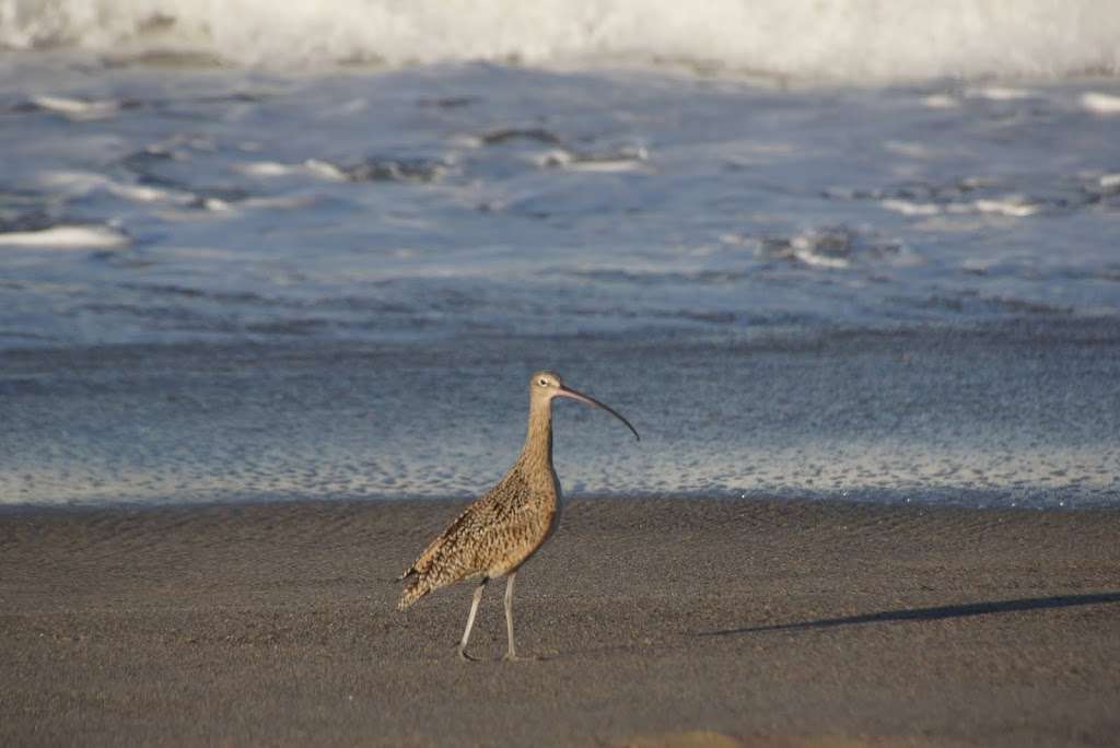 Santa Clara Estuary Natural Preserve | Oxnard, CA 93036, USA