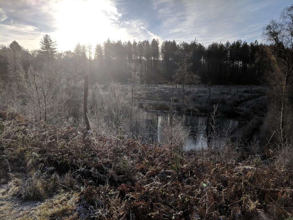 RSPB Broadwater Warren Nature Reserve | Frant, Tunbridge Wells TN3 9NZ, UK