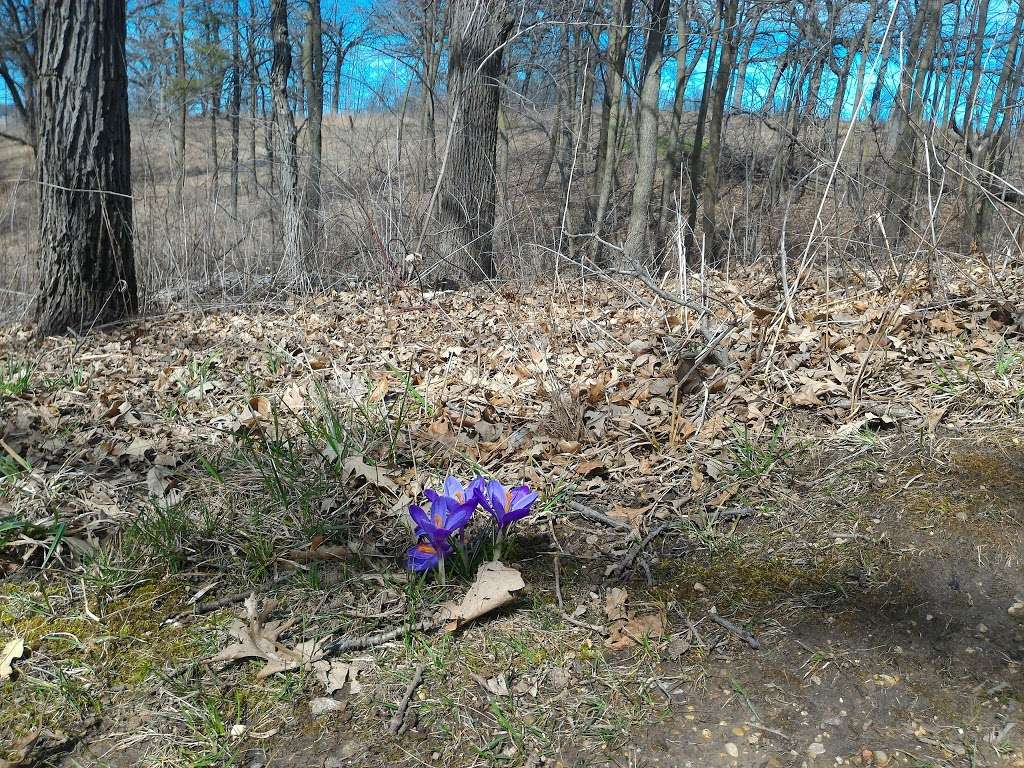 Pleasant Valley Conservation Area | Woodstock, IL 60098, USA