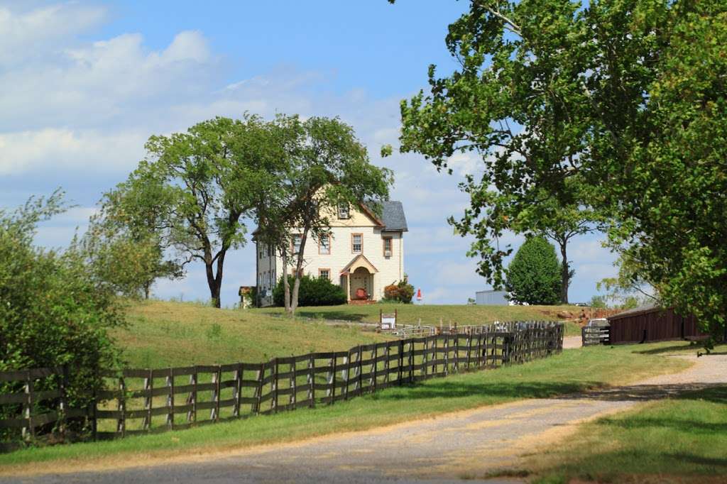 McKee Beshers Wildlife Management Area | 16898-16500 River Rd, Poolesville, MD 20837, USA | Phone: (410) 356-9272