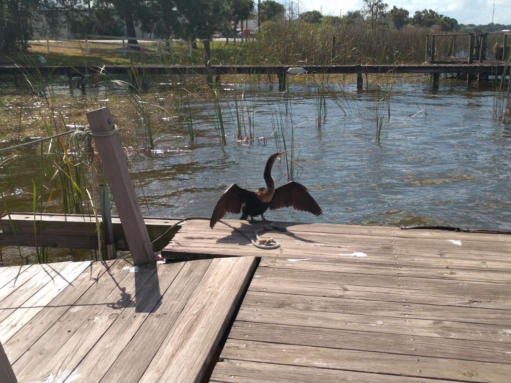 Captain Freds Airboat Nature Tours | Captain Freds Airboat Tours, 4700 Crump Rd Suite C, Winter Haven, FL 33881, USA | Phone: (863) 696-1637