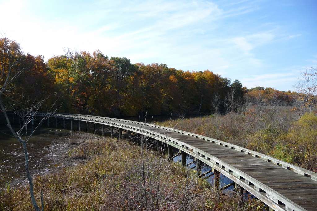 Patuxent River Park - Jug Bay Natural Area | 16000 Croom Airport Rd, Upper Marlboro, MD 20772, USA | Phone: (301) 627-6074