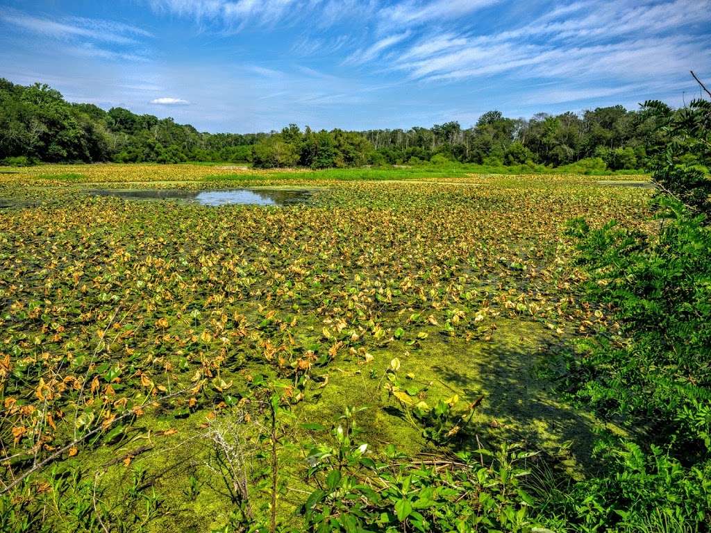 McKee Beshers Wildlife Management Area | 16898-16500 River Rd, Poolesville, MD 20837, USA | Phone: (410) 356-9272