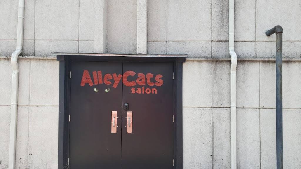 AlleyCats Salon | 3801 NW 63rd St Bldg 3, Ste 133, Oklahoma City, OK 73116, USA | Phone: (405) 607-2287