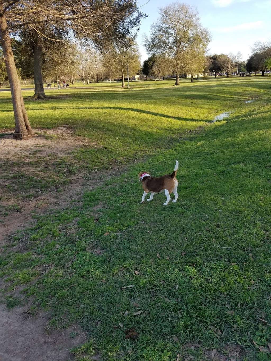 City of Katy Dog Park | 5418 Franz Rd, Katy, TX 77493, USA | Phone: (281) 391-4840