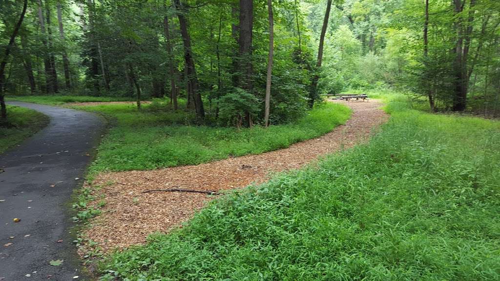 Walker Nature Center Campfire Ring | The Turquoise Trail, Reston, VA 20191, USA