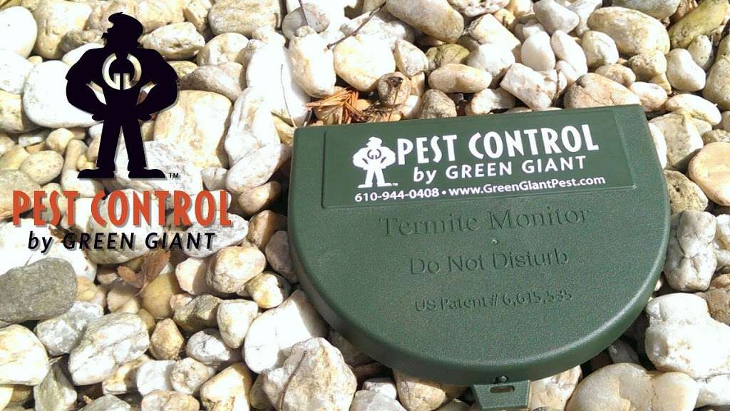 Green Giant Pest Control | 3 Cemetery Rd, Fleetwood, PA 19522, USA | Phone: (610) 944-0409