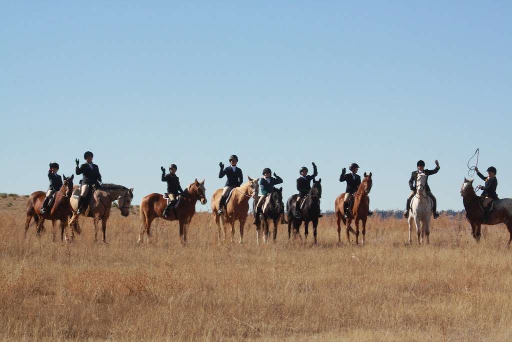 EquesTraining | 11063 Sheffield Ct, Parker, CO 80134, USA | Phone: (720) 785-0980