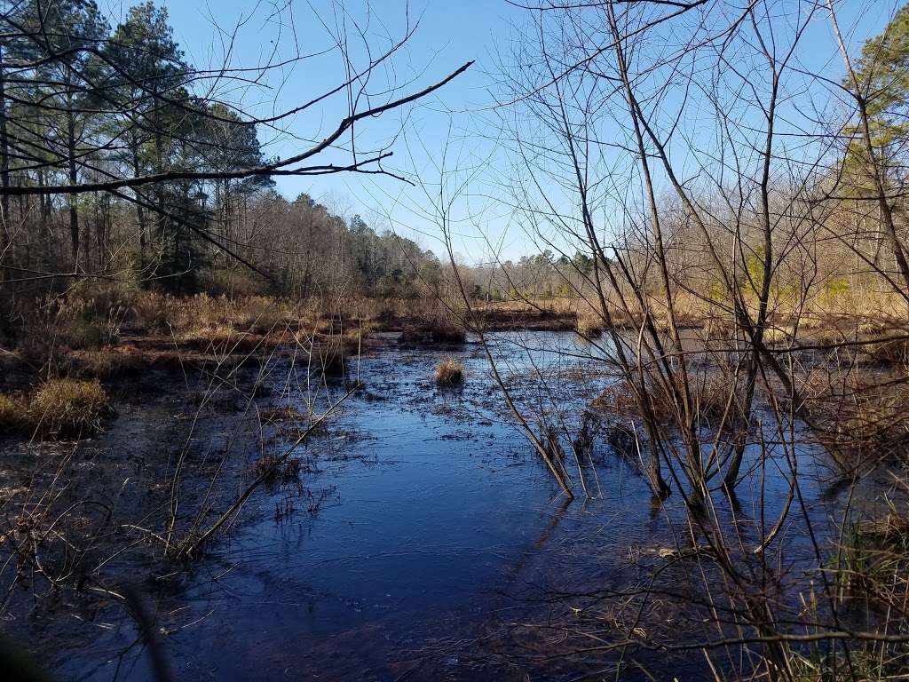 Zoar State Forest - Virginia Department of Forestry | 4445 Upshaw Rd, Aylett, VA 23009, USA | Phone: (804) 769-2962