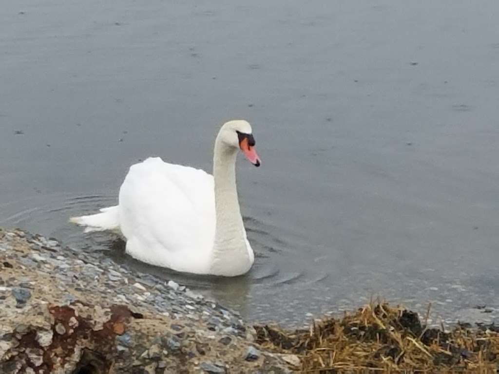 Brant Point Wildlife Sanctuary | Bayfield Ave, Arverne, NY 11692, USA