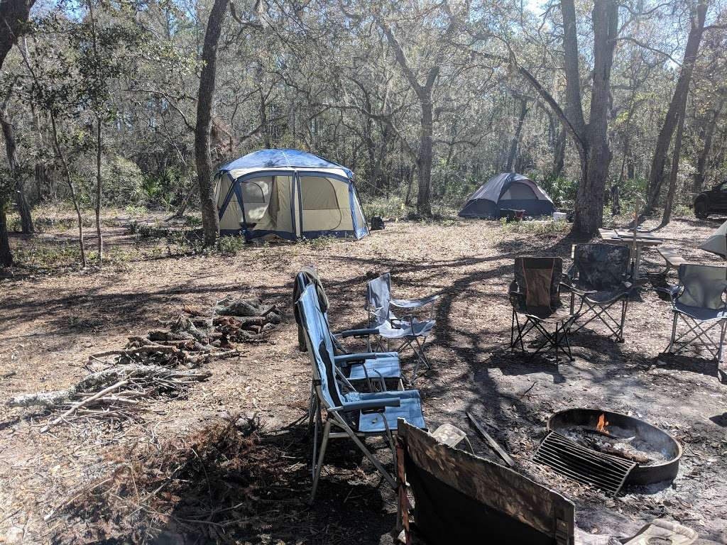 Bennett Field Campground, Tiger Bay State Forest | 801 Rima Ridge Rd, Daytona Beach, FL 32124, USA | Phone: (386) 585-6150