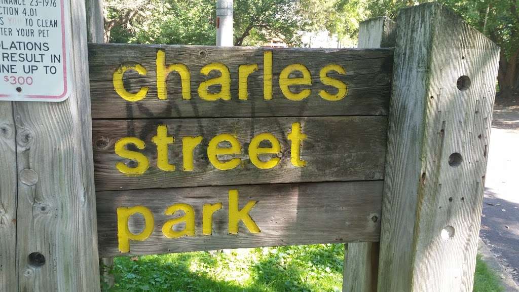 Charles St Park | 39 Charles St, Wilkes-Barre, PA 18702, USA