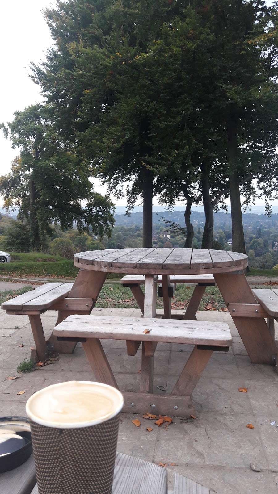 Reigate Hill Tea Room | Car Park, Reigate Hill Park, Wray Ln, Reigate RH2 0HX, UK