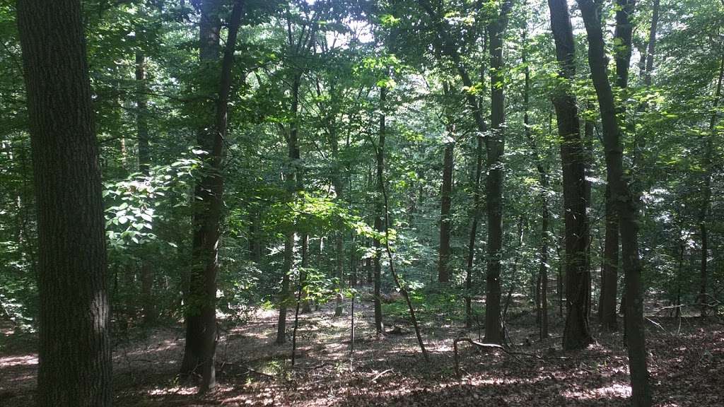 Diamond Rock Preserve | Chautauqua Trail, Malvern, PA 19355, USA