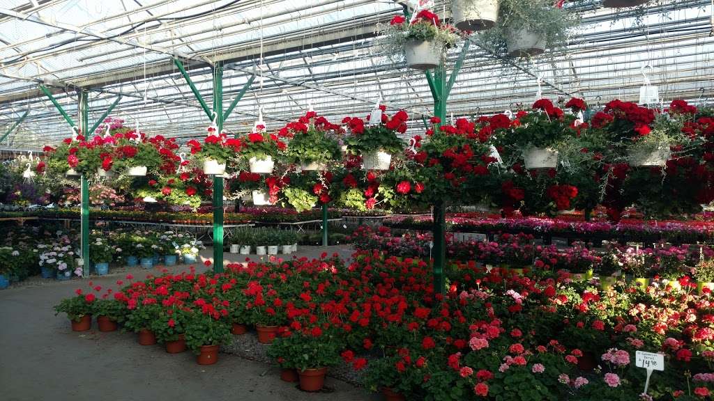 Calaresos Farm Stand & Garden Center | 100 Main St, Reading, MA 01867, USA | Phone: (781) 944-6010