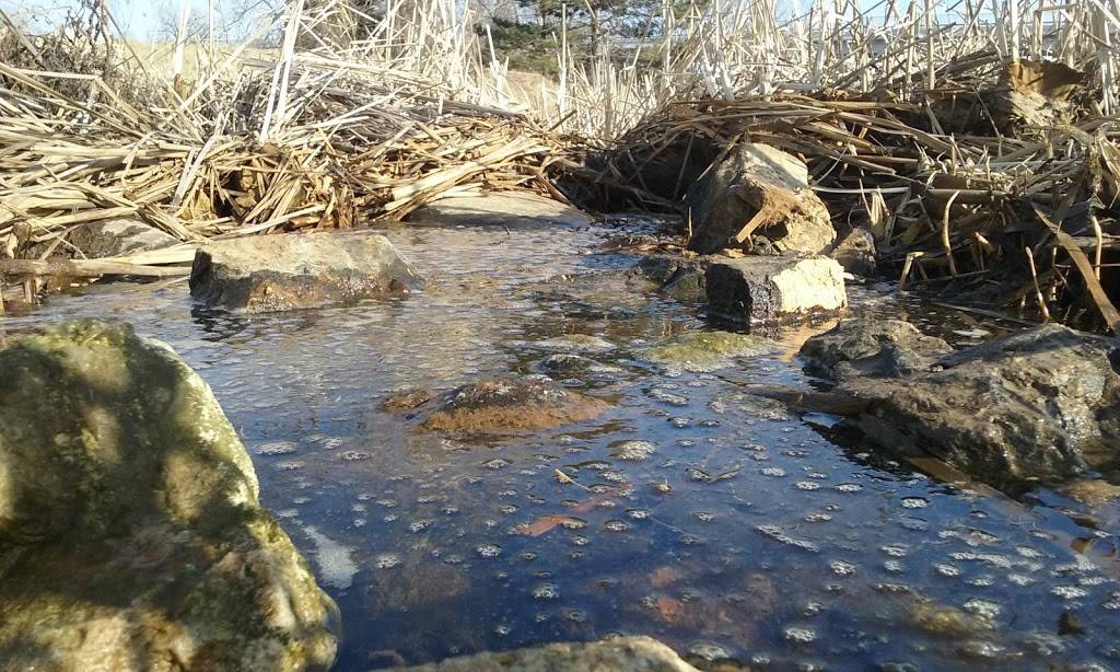 Trout Brook Nature Sanctuary | 1200 Jackson St, St Paul, MN 55117, USA | Phone: (651) 266-6368