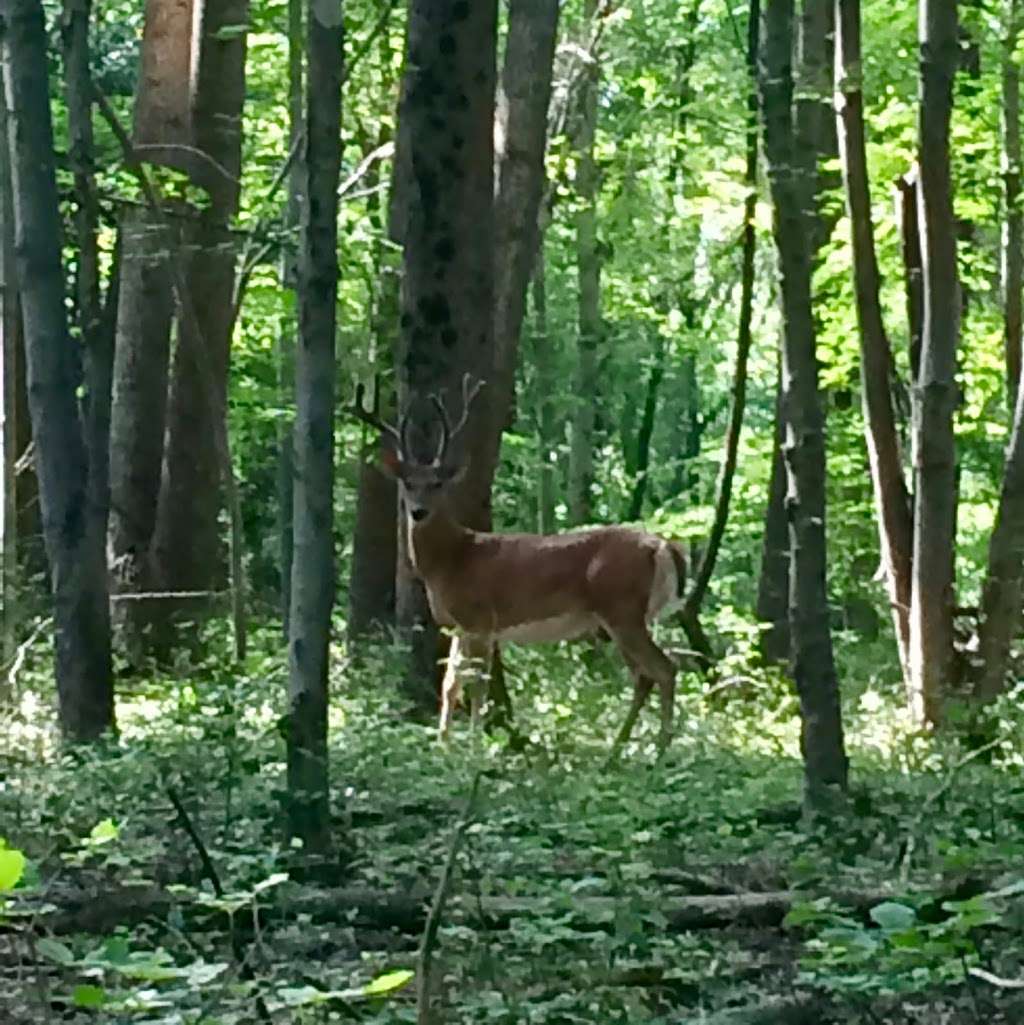 Fairland Regional Park | 13950 Old Gunpowder Rd, Laurel, MD 20707, USA | Phone: (304) 362-6060