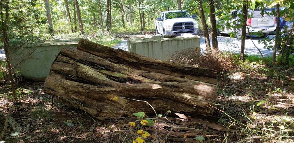 The Nature Conservancy, Chrome Serpentine Barrens Preserve | State Rd, Oxford, PA 19363, USA | Phone: (717) 232-6001