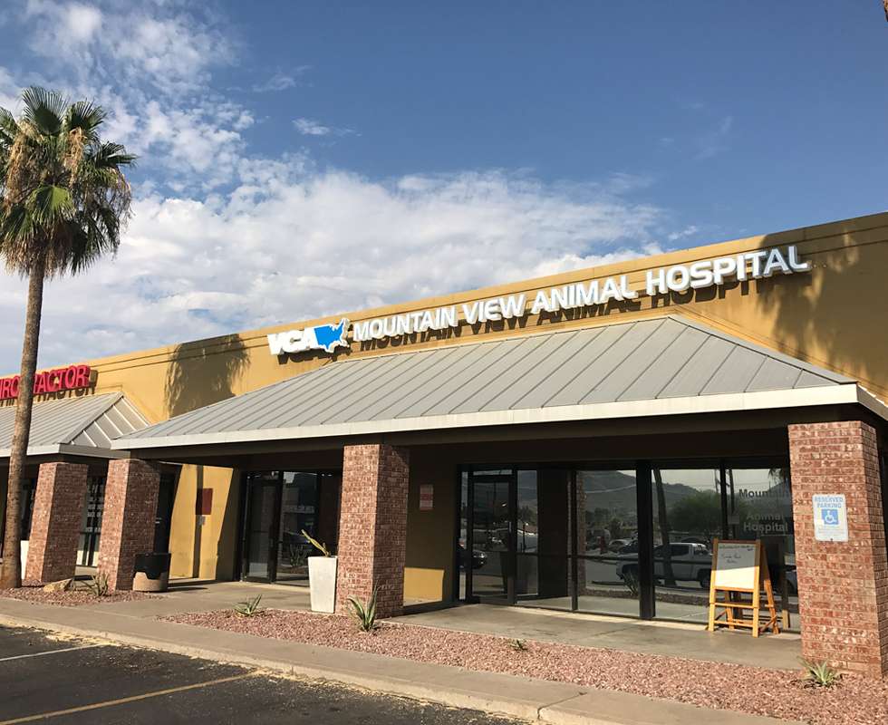 VCA Mountain View Animal Hospital | 9812 N 7th St, Phoenix, AZ 85020, USA | Phone: (602) 861-1355