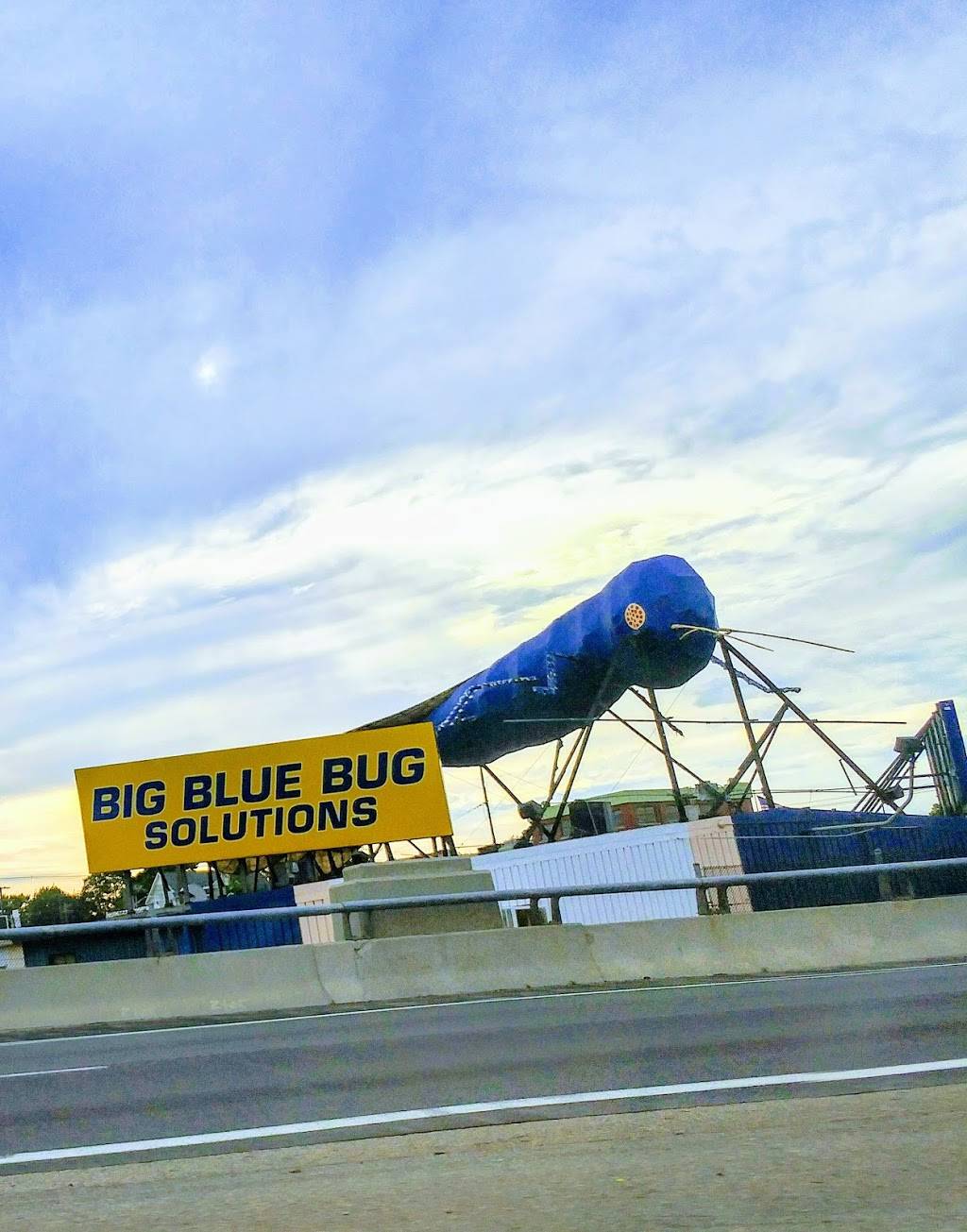 Big Blue Bug Solutions | 161 OConnell St, Providence, RI 02905, USA | Phone: (401) 941-5700