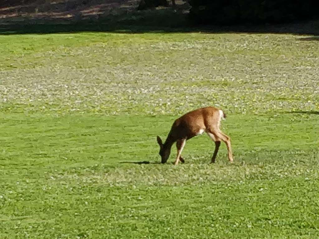 Paradise Beach County Park | 3450 Paradise Dr, Belvedere Tiburon, CA 94920, USA | Phone: (415) 435-9212