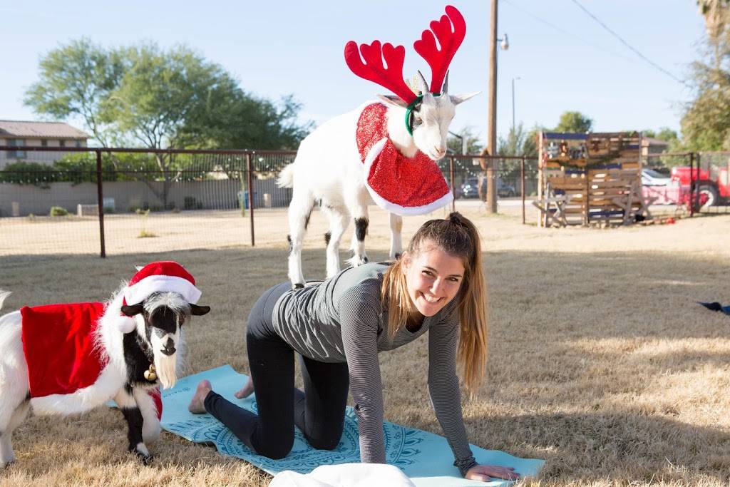 Goat Yoga | #Goat Yoga, 26601 S Val Vista Dr, Gilbert, AZ 85298, USA | Phone: (480) 269-4144