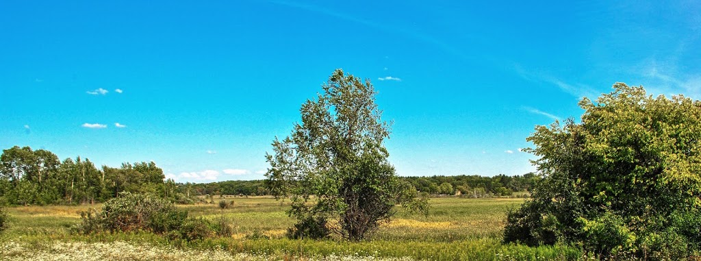 Pickerel Lake Fen State Natural Area | 101 S Webster St, Madison, WI 53703, USA | Phone: (608) 266-2621