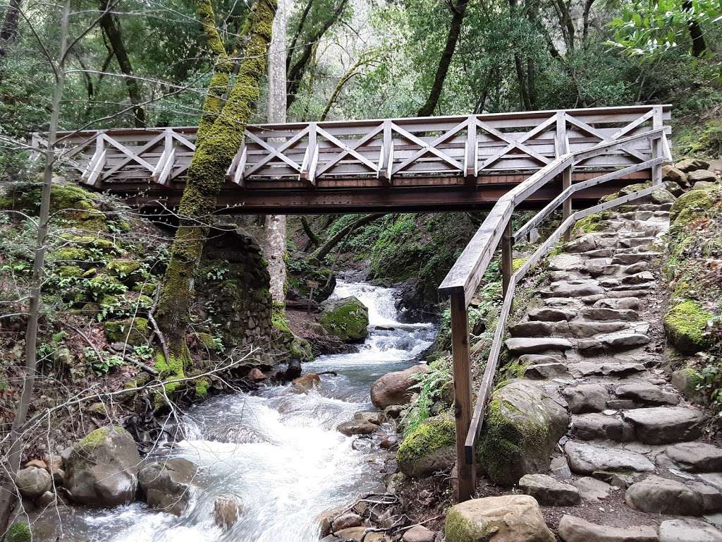 Uvas Canyon County Park | 8515 Croy Rd, Morgan Hill, CA 95037, USA | Phone: (408) 779-9232