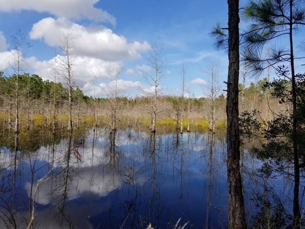 Brooker Creek Preserve - Walk Through | Lora Ln, Tarpon Springs, FL 34688, USA | Phone: (727) 453-6800