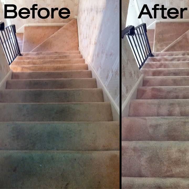 All Steam Carpet & Tile Cleaning | 120 Tilden Ave, Chesapeake, VA 23320, USA | Phone: (757) 432-1531