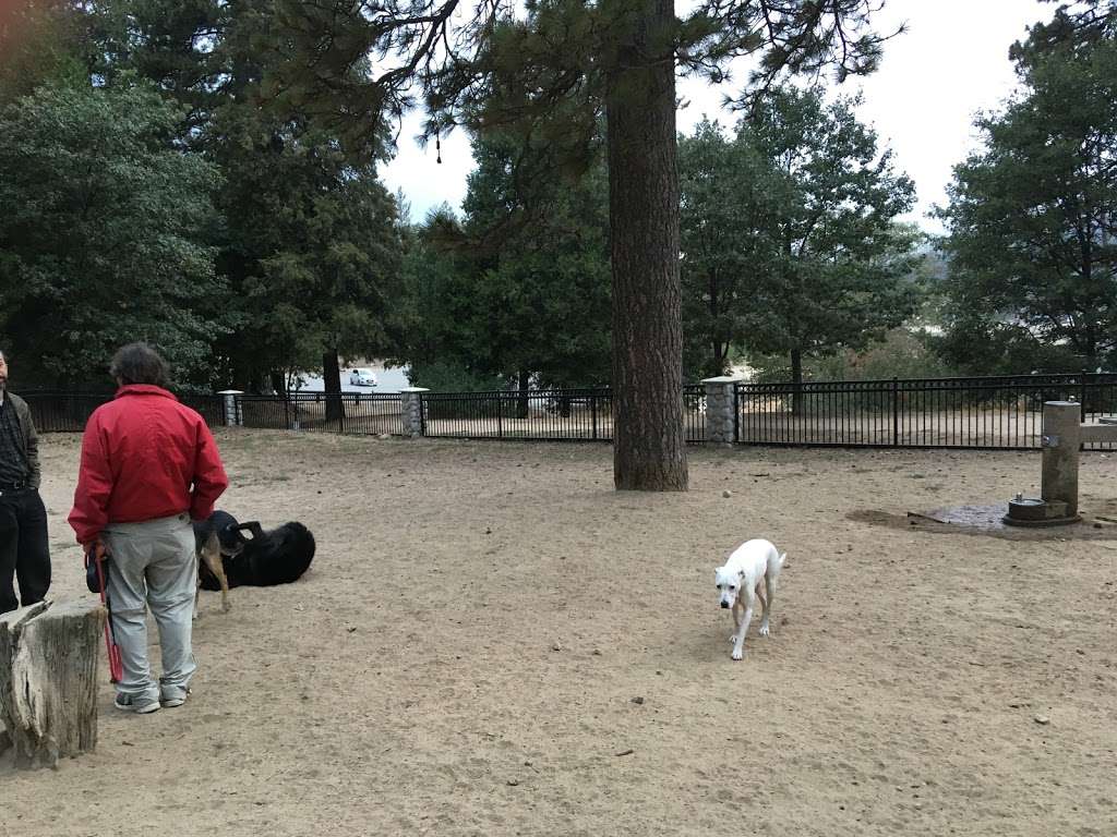 Lake Gregory Dog Park | 033720207, Crestline, CA 92325, USA